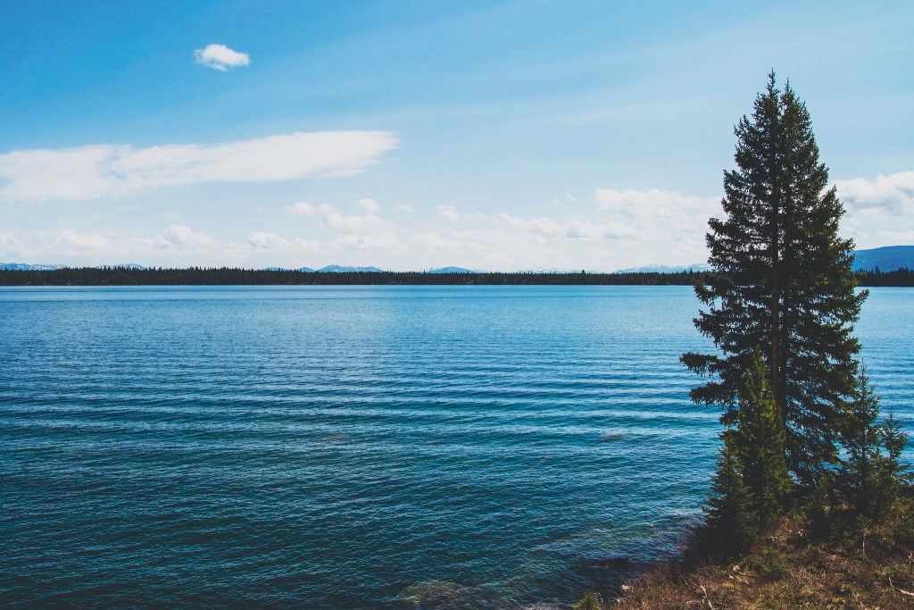 At view of Jenny Lake at the Grand Teton National Park.