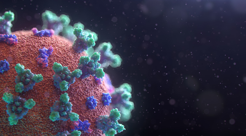 A Radford University Student has Tested Positive for&nbsp;COVID-19