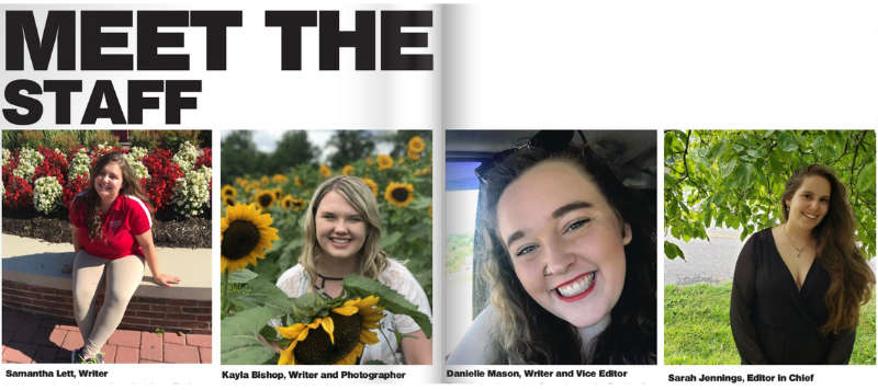 The Beehive Team.